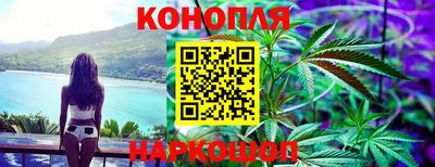 гашик Камышлов